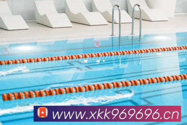 环亚体育·中国官方网站平台生态图